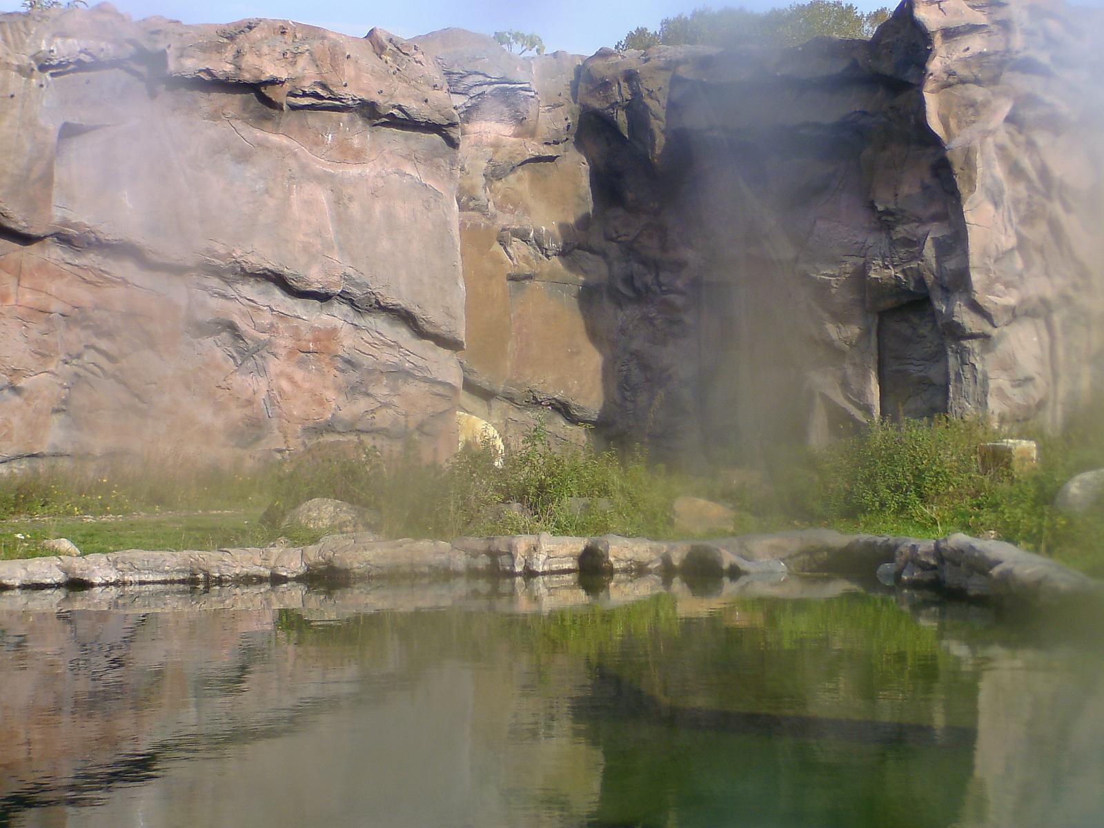 Zoom 18.10.08-063.jpg